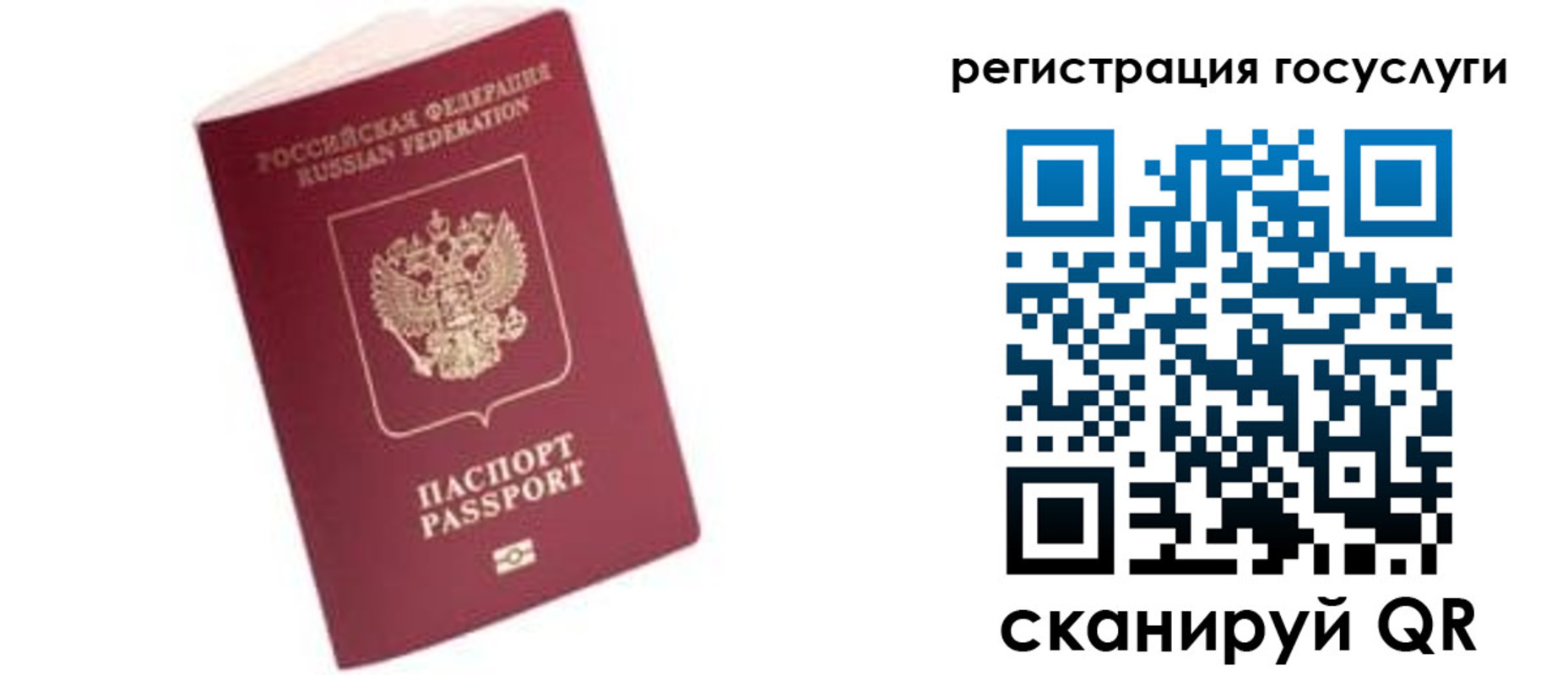 прописка поиск в Боровичах